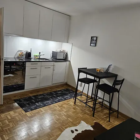 Apartment Schoene In Der Innenstadt Luzern